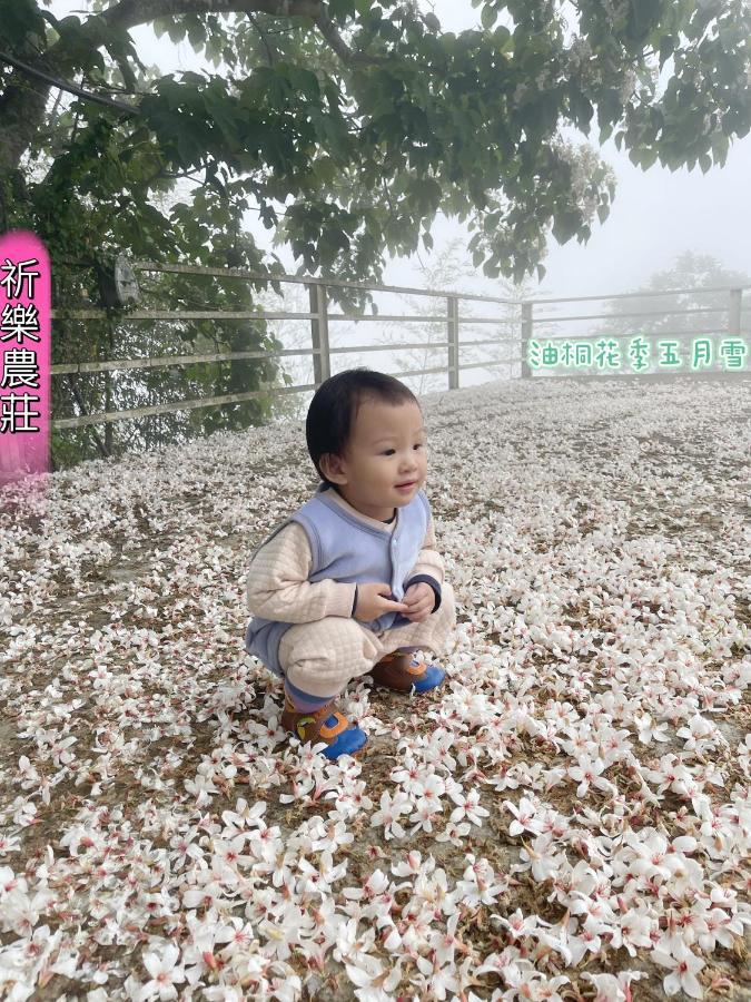 Lala Mountain Homestay‧Cile Farm Hualing Exterior photo